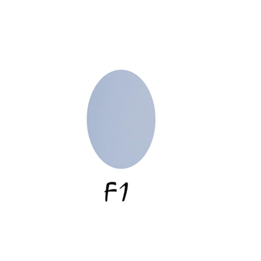 F1.png